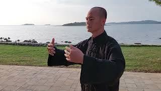 Tai Chi Class 1: Zhan Zhuang