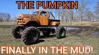 Pumpkin in the MUD!!!