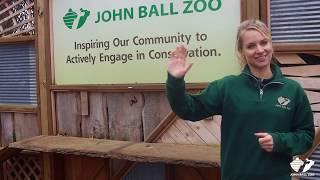 Zoo Insider - Exhibit Design