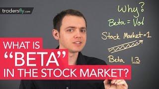 What is "Beta" [Stock Market Terms] + How to Use it for Trading Decisions