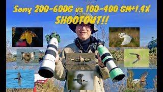 Sony 200-600G vs Sony 100-400GM+1.4x SHOOTOUT!! Which is better?