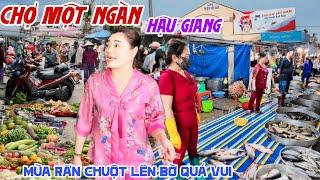 Quá Đông CHỢ MỘT NGÀN HẬU GIANG MÙA RẮN CHUỘT LÊN BỜ Bà Con CHỢ CÁ BÀY LA LIỆT XỔ RẺ - Quá Vui KPVL