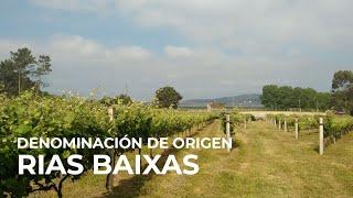 Spanish Wine Regions: Rias Baixas