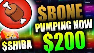 "URGENT" BONE SHIBASWAP MAKING MILLIONARES! BONE PRICE PREDICTION!