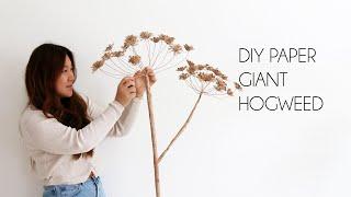 DIY Paper Giant Hogweed Queen Anne's Lace Backdrop (How to make paper flower)