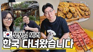 부모님을 뵈러 한국 다녀왔습니다|한국에서 먹은 음식들 & 산 것들