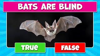 TRUE or FALSE Quiz - Animals True or False Quiz - Animals Knowledge Trivia Questions | PARTY GAMES