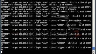 Getting root password using hydra command