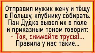 Как Поляки По Кругу Пустили! Сборник Свежих Анекдотов! Юмор!