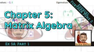 Matrix Algebra 1 • The concept of eigenvalues and eigenvectors • FP2 Ex5A • ️