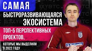 Самая быстроразвивающаяся экосистема | Топ-5 перспективных проектов, которые мы выделили в 2022 году