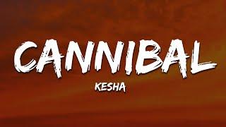 Kesha - Cannibal (Lyrics) whenever you tell me i'm pretty