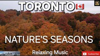 4K Drone Aerial View of Toronto, Canada: Stunning Nature in Every Season , #relaxingmusic #nature