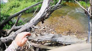 Creek Fishing For BIG TROUT In May (Insane Action Till The End) #mepps #trout #fishing (2024)