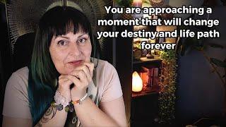 Your life will change in ways you can't even imagine - tarot reading