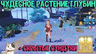 Чудесное растение глубин + скрытый сундук и квест | Genshin Impact