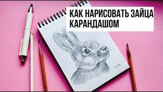 КАК НАРИСОВАТЬ ЗАЙЦА ПРОСТЫМ КАРАНДАШОМ. Рисунок для начинающих