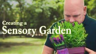 Creating a Sensory Garden | The Kerry Garden Show ‍