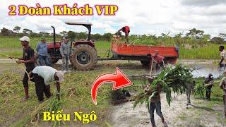 Linh Philip || Hân Hạnh Đón 2 Đoàn Khách VIP Đến Thăm Quan Và Xin Các Loại Giống Trong Việt Phi Farm