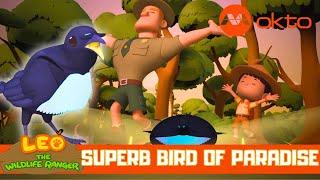 What is the STRANGE BIRD doing with TWIGS? | Leo the Wildlife Ranger Spinoff S5E04 | @mediacorpokto