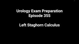 355 - Staghorn Stone - Standard PCNL