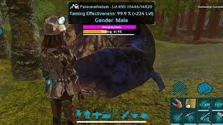 HOW TO TAME PARACERATHERIUM MAX LEVEL450|ARK| Ep-52