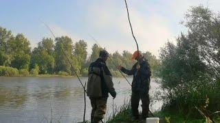 ПЕРВАЯ НОЧНАЯ РЫБАЛКА НА РЕКЕ ПРИПЯТЬ