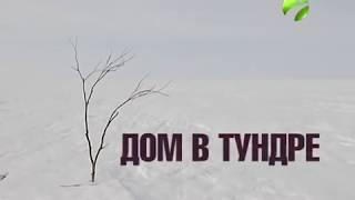 Арктика.Live: "Дом в тундре"