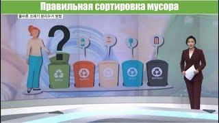 [Русская озвучка] Правильная сортировка мусора