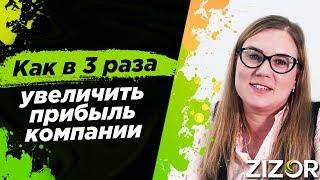 Лидогенерация | Как в 3 раза увеличить прибыль компании комплексным подходом | Зизор #5