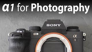 Sony Alpha 1 PHOTOGRAPHY review (res, DR, ISO, RAW, AF, 30fps) 2 months