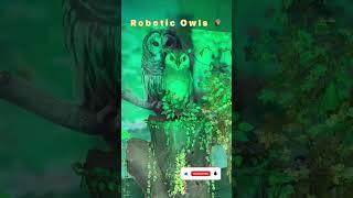 Robotic Owl#youtubeshorts