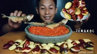 JENGKOL TUA ‼️ ikan asin, Sambal terasi, Mukbang Indonesia