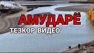 ТЕЗКОР ВИДЕО ДАХШАТ АМУДАРЁ НИМАЛАР БУЛЯБДИ СУВ ТУГАДИ  ТЕЗКОР ХАБАР