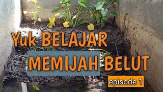 Yuk BELAJAR MEMIJAH BELUT episode 1 || SIMAK DI SINI