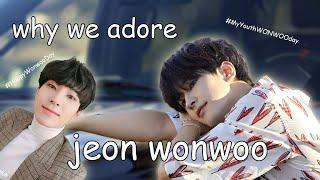 why we adore jeon wonwoo