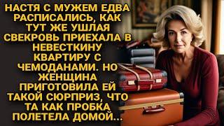 Свекровь заявилась с чемоданами в невесткину квартиру, но та не стерпела...