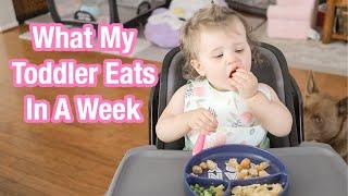 WHAT MY TODDLER EATS IN A WEEK | 1 YEAR OLD MEALS | Megan Lindsay