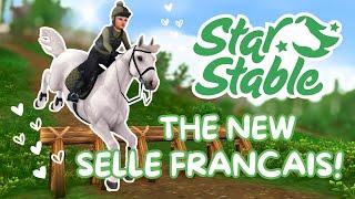 Buying The New Selle Francais + New Show Jumping! II My Honest Opinion II Star Stable Online