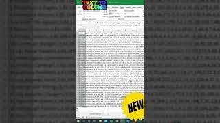 Excel Hacks l Text to Column l #exceltutorial #excel #exceltips #exceltricks #excelhacks
