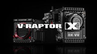 V-RAPTOR [X] 8K VV | Official Introduction | #ShotonRED