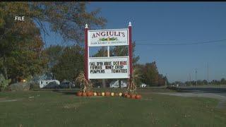 Angiuli's Farm Market prepares for annual fall open house