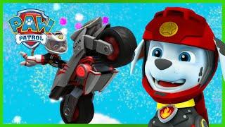 Moto Pups, Cat Pack & MORE | PAW Patrol | Cartoons for Kids