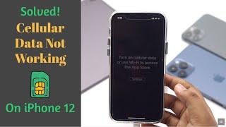 Cellular Data Not Working on iPhone 12, 12 Mini, 12 Pro Max & How to Fix