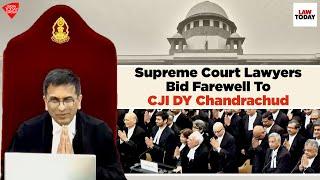 Supreme Court Lawyers Bid Farewell To CJI DY Chandrachud | Law Today