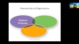 Characteristics of Organizations