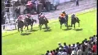 Cape Gold - Mohammad Moorad Keerpah - Free Horse Racing Tips