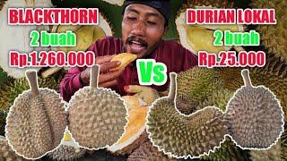 Indonesia durian harvest | Indonesia durian season