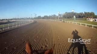 Breeders' Cup 2013  "Colonel Joan" Gallop   JockeyCam presented by EquiSight com