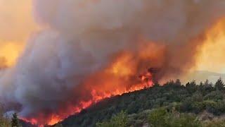 War graves reportedly under threat as wildfire rages near Anzac Cove in Turkey